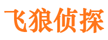 平遥市婚外情调查